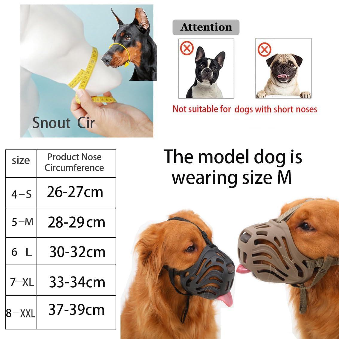 Diketone muzzle on a large dog during walk prevents biting