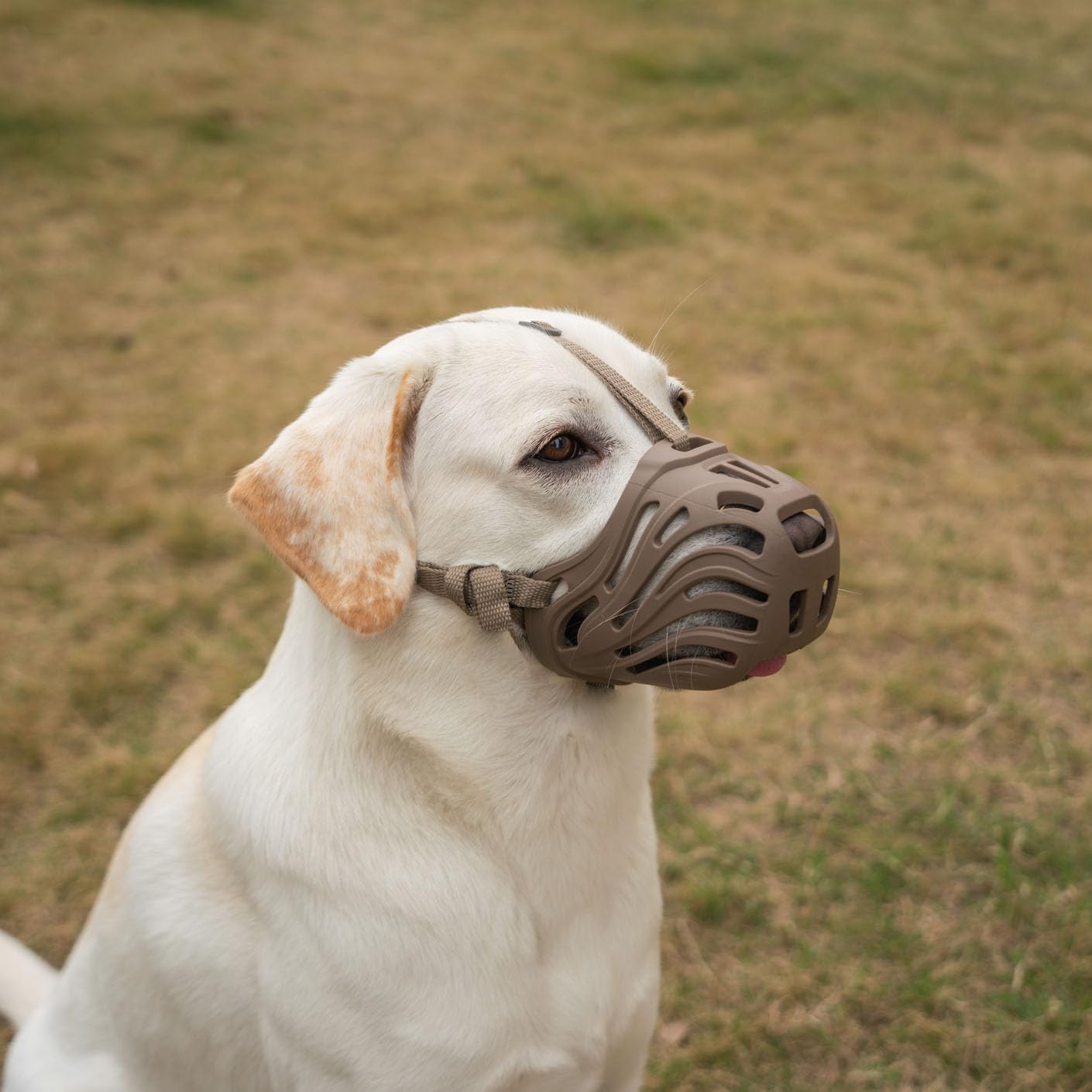 Diketone large dog muzzle in silicone, breathable fit for all-day wear.