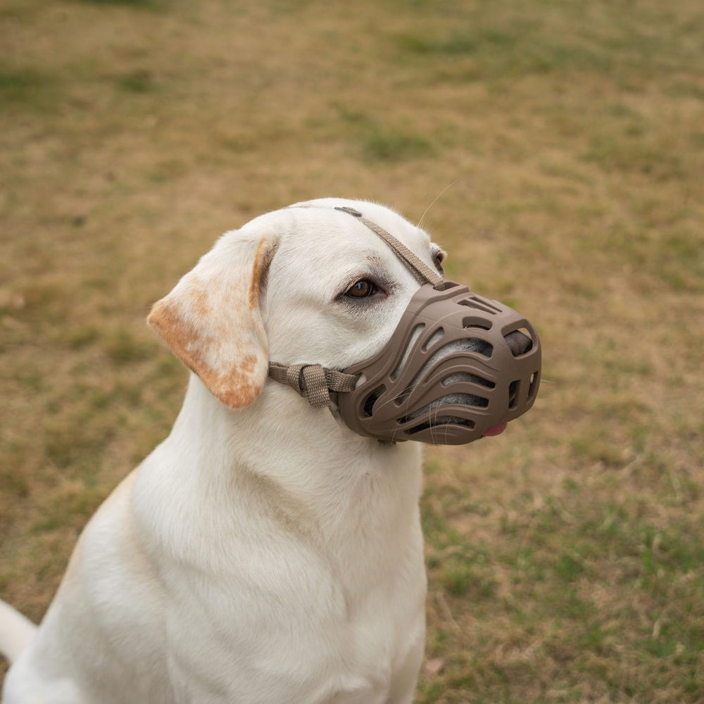Diketone large dog muzzle in silicone, breathable fit for all-day wear.