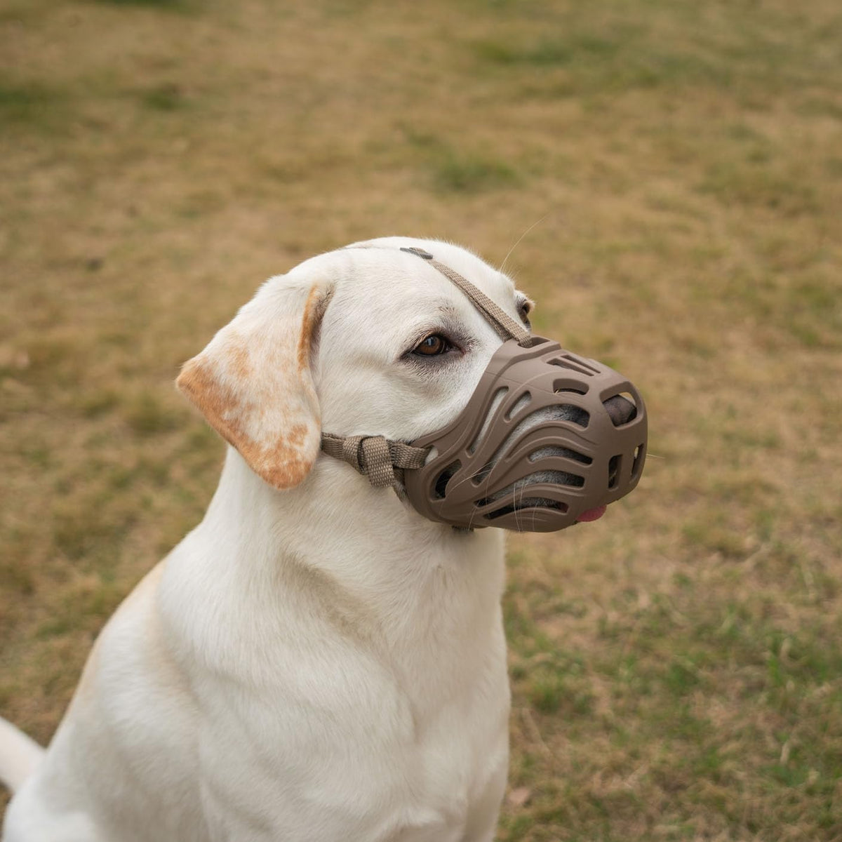 Diketone large dog muzzle in silicone, breathable fit for all-day wear.