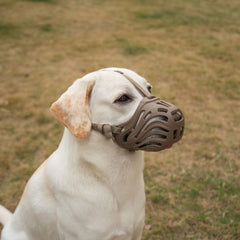 Diketone large dog muzzle in silicone, breathable fit for all-day wear.