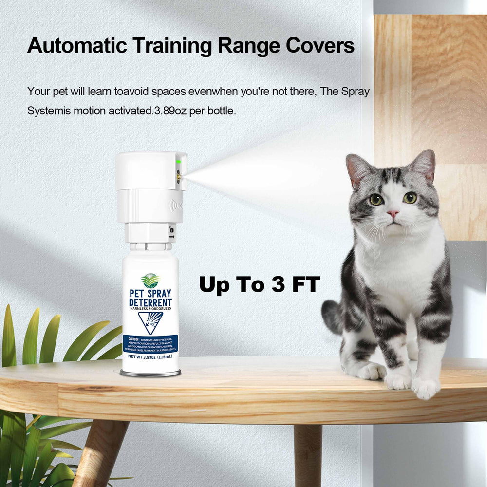 Diloqio safe non-flammable deterrent cans ensure stress-free household use.