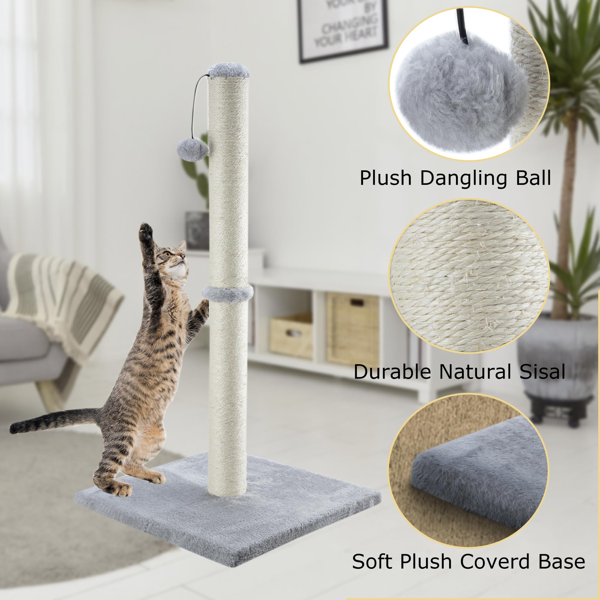 Dimaka hanging ball feature invites playful interaction and extended stretching sessions
