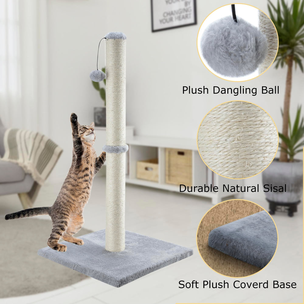 Dimaka hanging ball feature invites playful interaction and extended stretching sessions