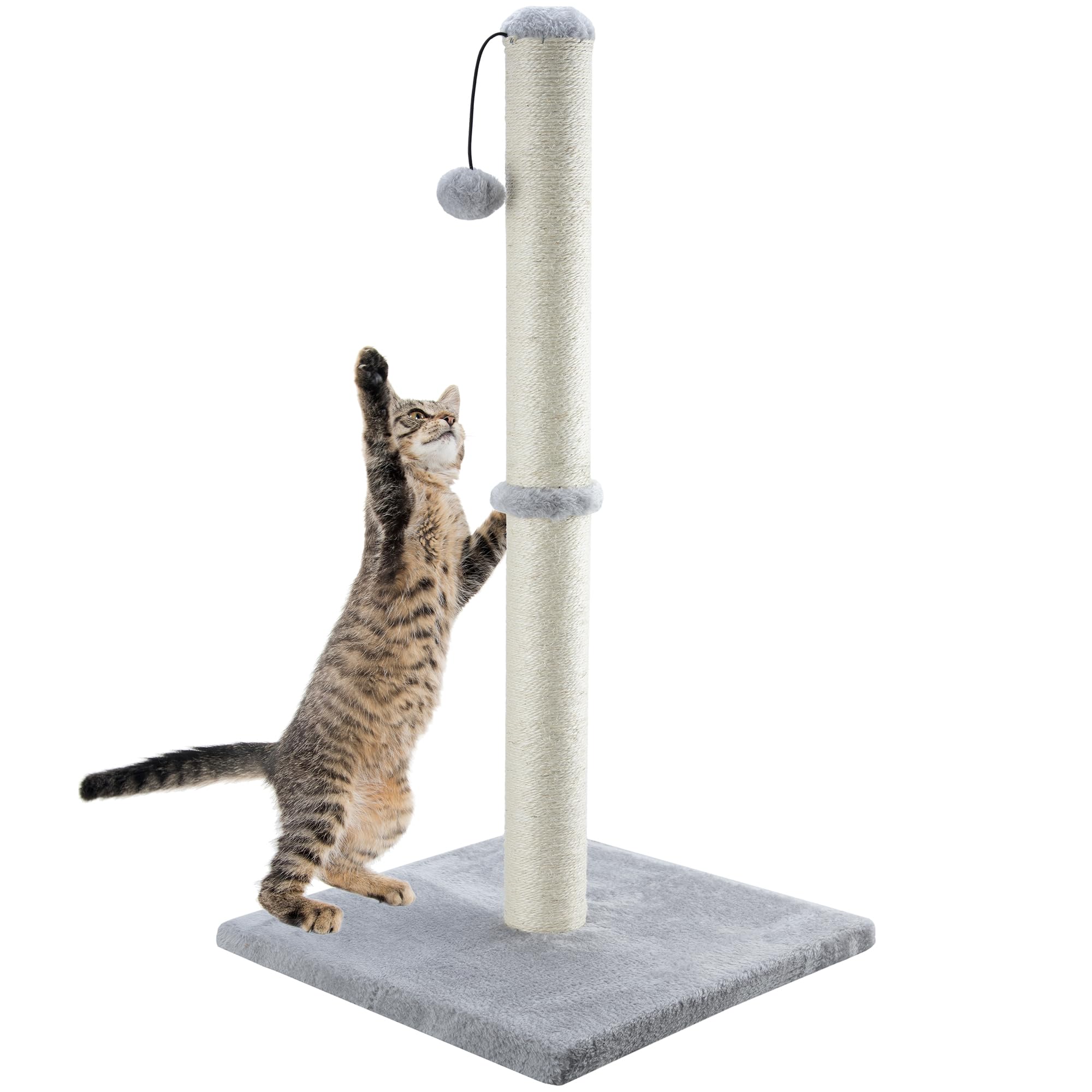 Dimaka 34 inch tall cat post top view shows sturdy height for tall climbers