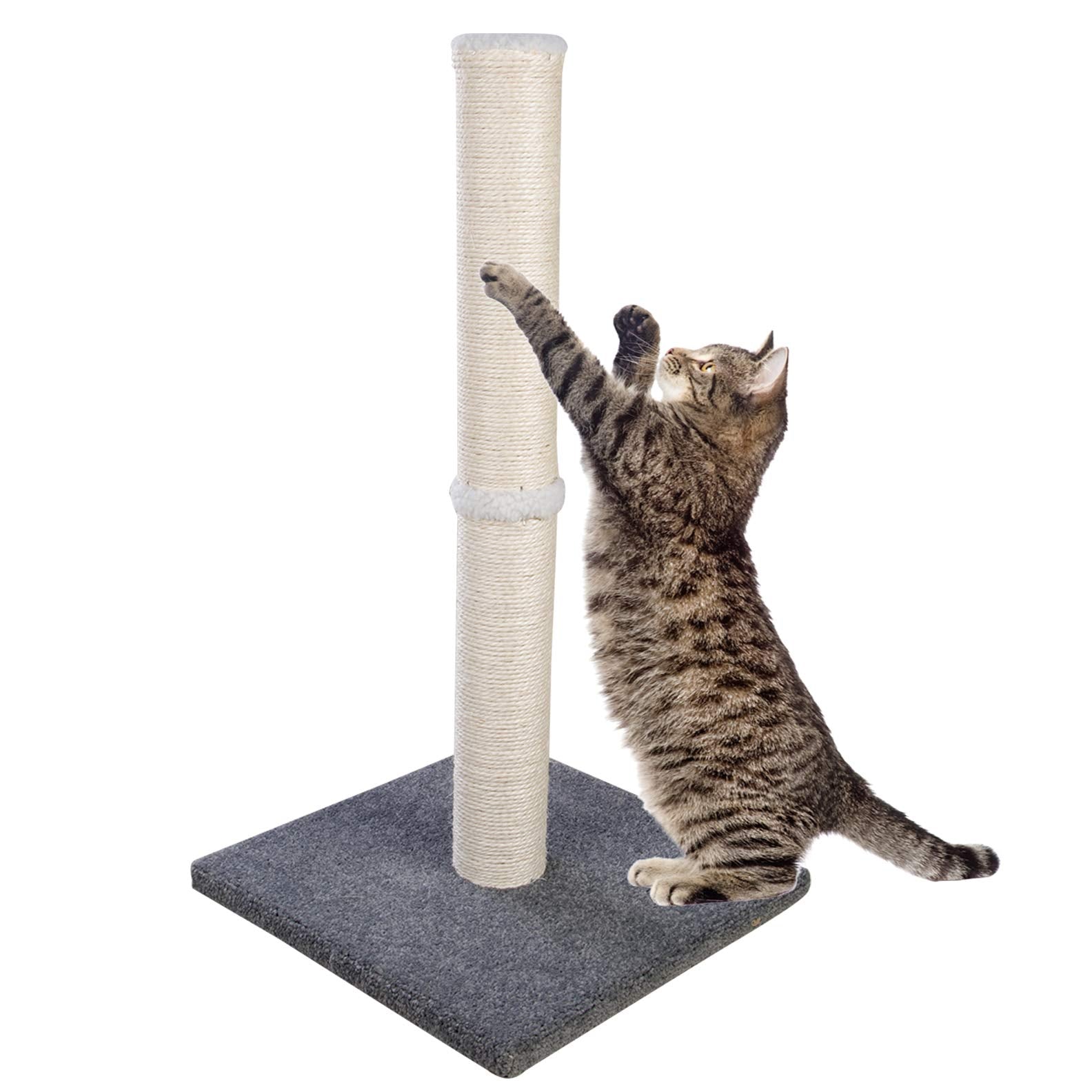 Dimaka cat scratching post with blue base for durable play and claw maintenance