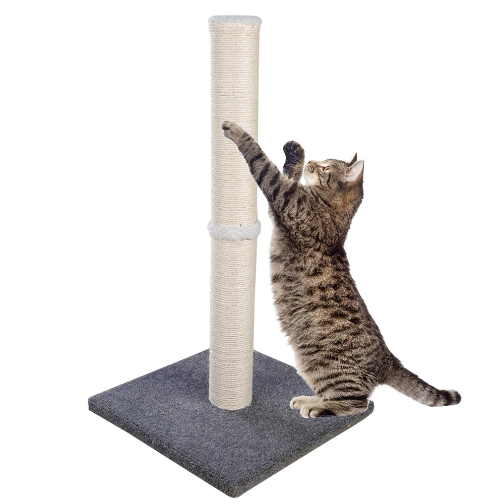 Dimaka cat scratching post with blue base for durable play and claw maintenance