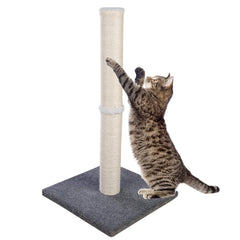 Dimaka cat scratching post with blue base for durable play and claw maintenance