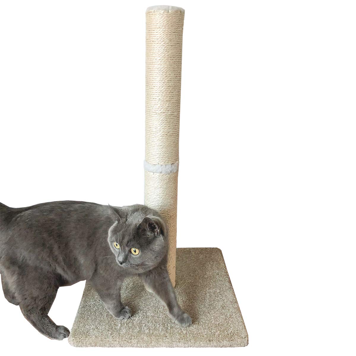 Dimaka carpeted post helps protect furniture by channeling scratching