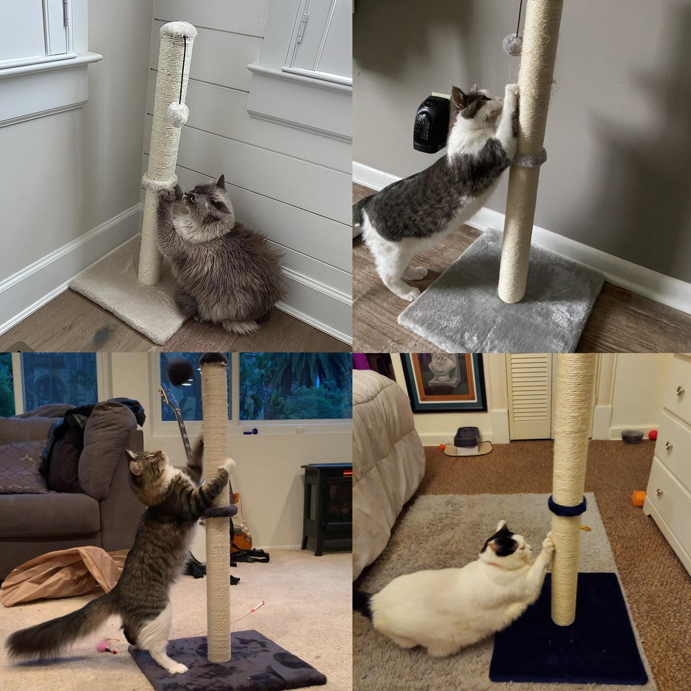 Dimaka stable base design prevents tipping during enthusiastic scratching.