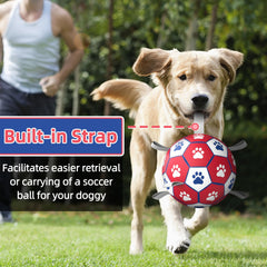 Diman hex-textured dog ball improves grip for easy retrieval.
