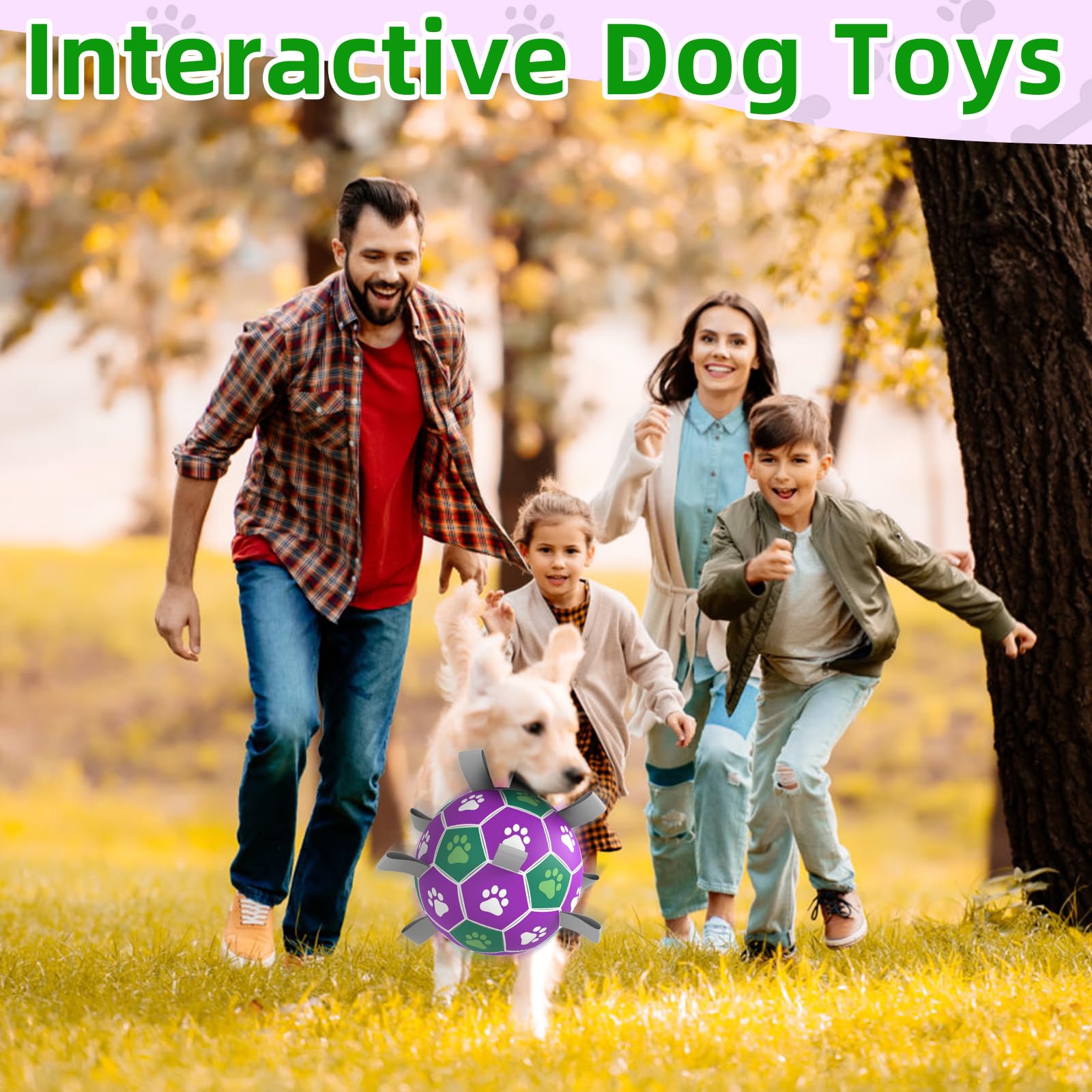 Diman medium-size ball fits small to medium dogs for active fun.