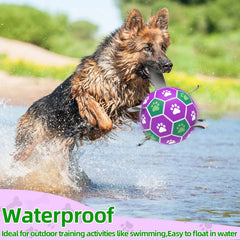 Diman outdoor ball with buoyant design for water play.