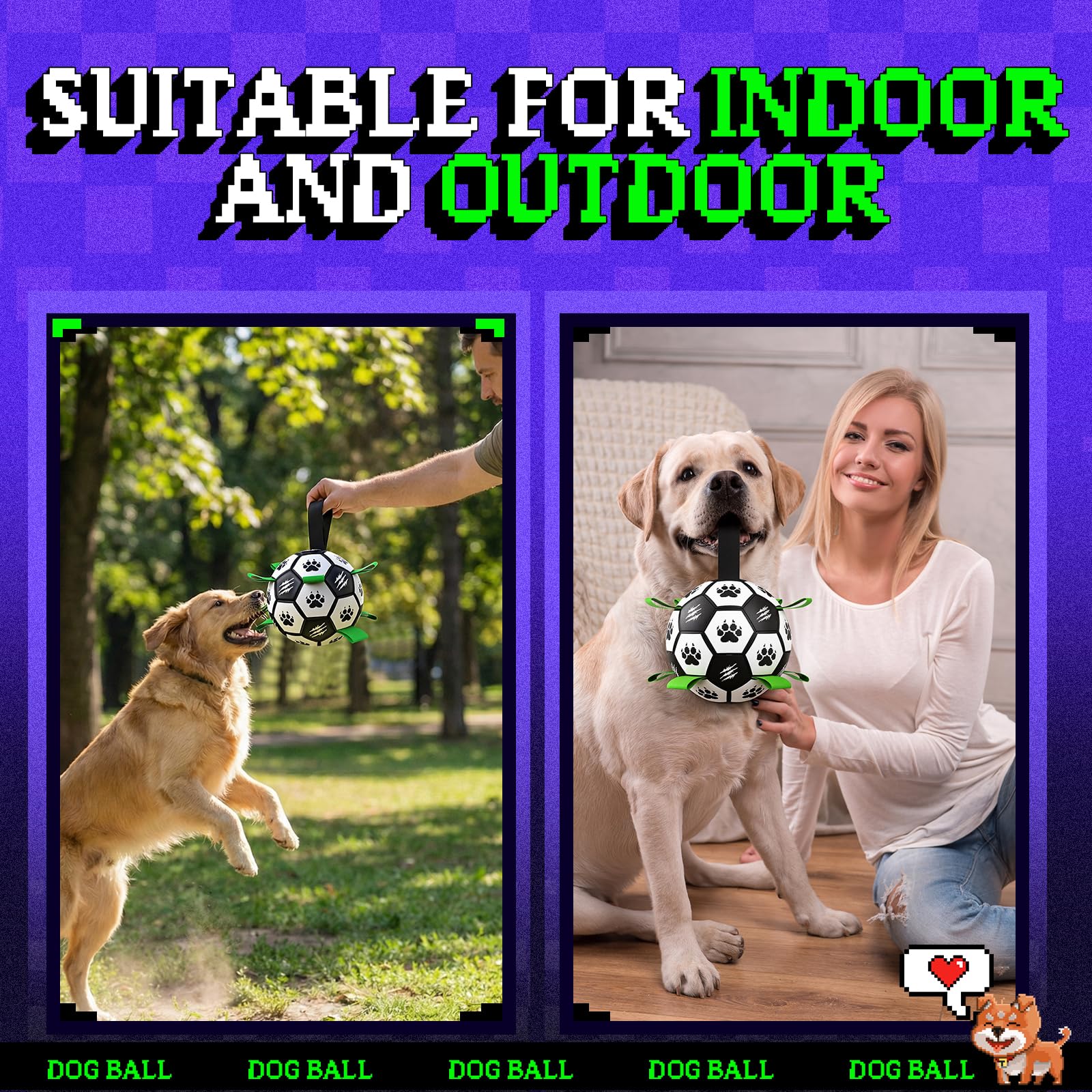 Diman dog birthday toy perfect gift for active dogs