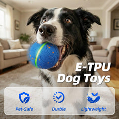 Diman durable e-TPU ball withstands chewers for longer sessions.