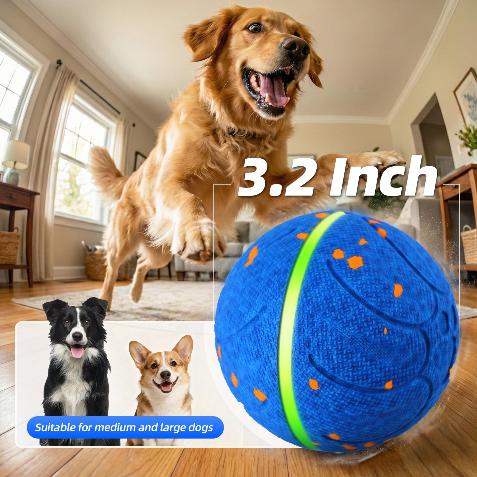 Diman indoor-outdoor dog ball ready for versatile play at home or park.