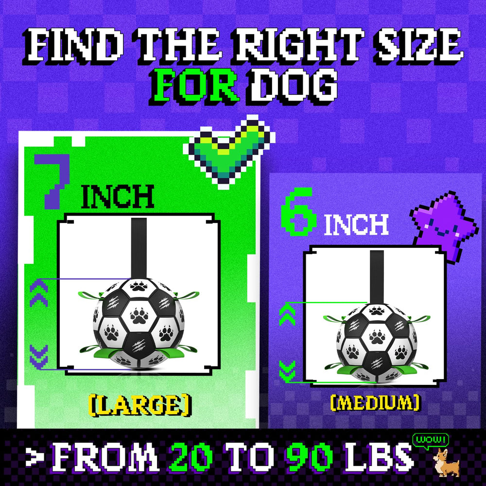 Diman interactive ball supports fetch and obedience practice