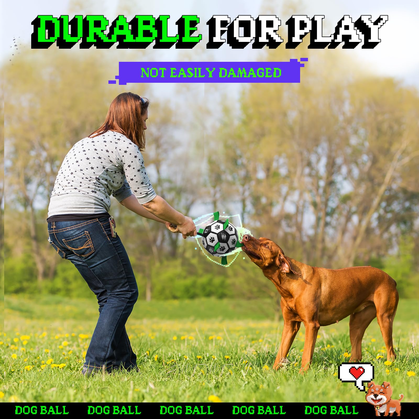 Diman interactive toy promotes fetch and basic training during playtime
