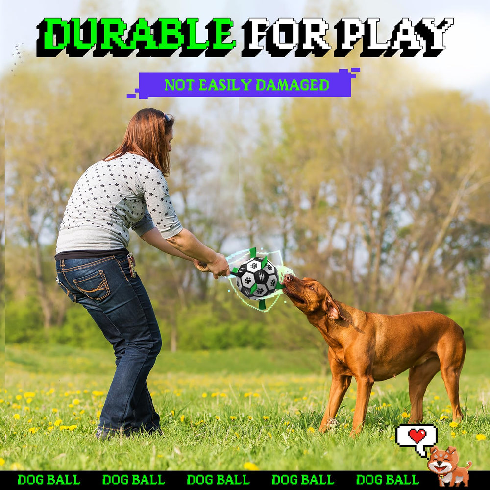Diman interactive toy promotes fetch and basic training during playtime