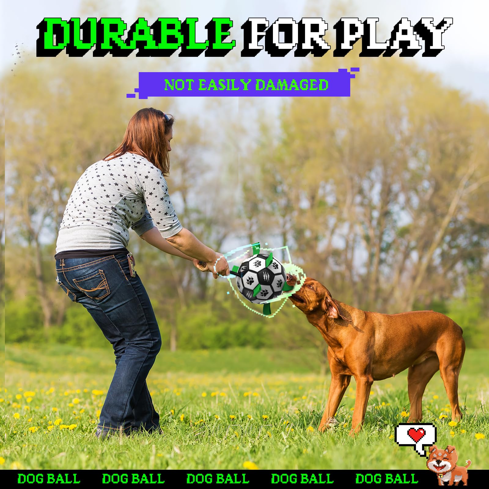 Diman outdoor dog toy on grass or sand for training