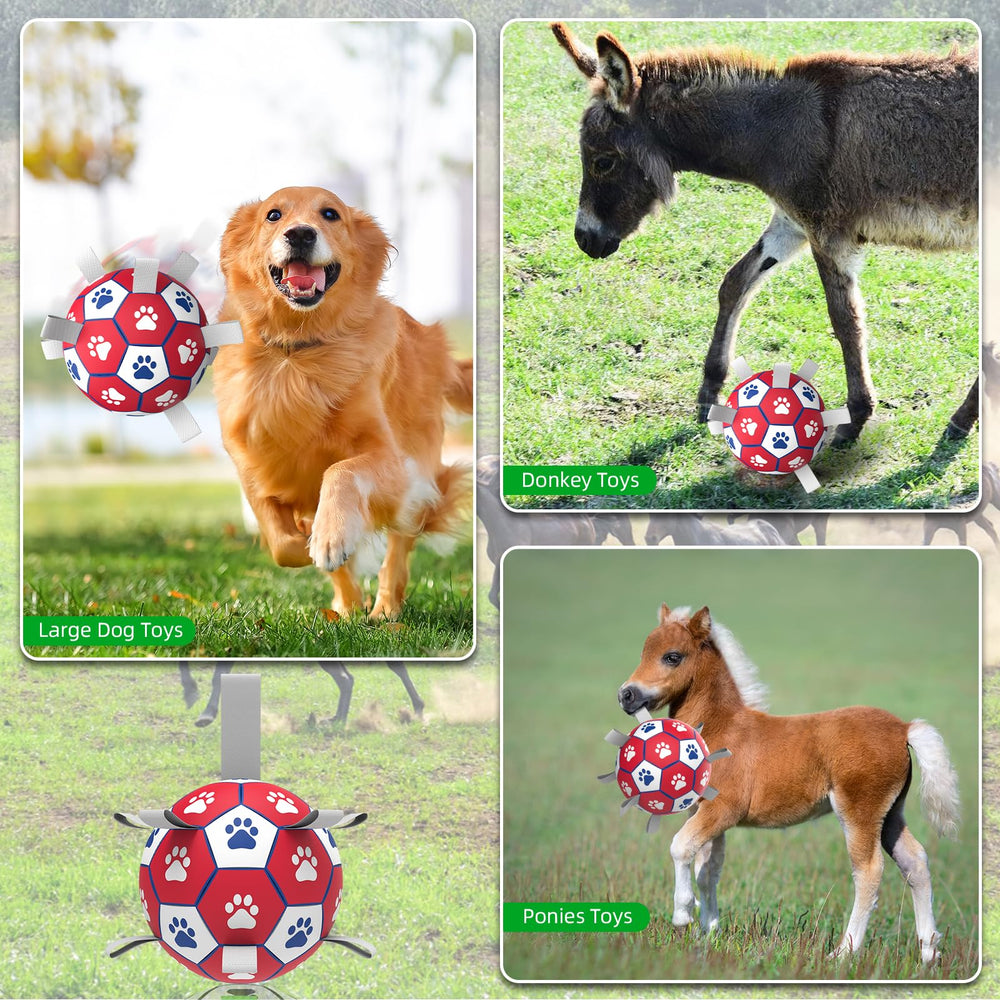 Diman large-size option supports extra large breed play.