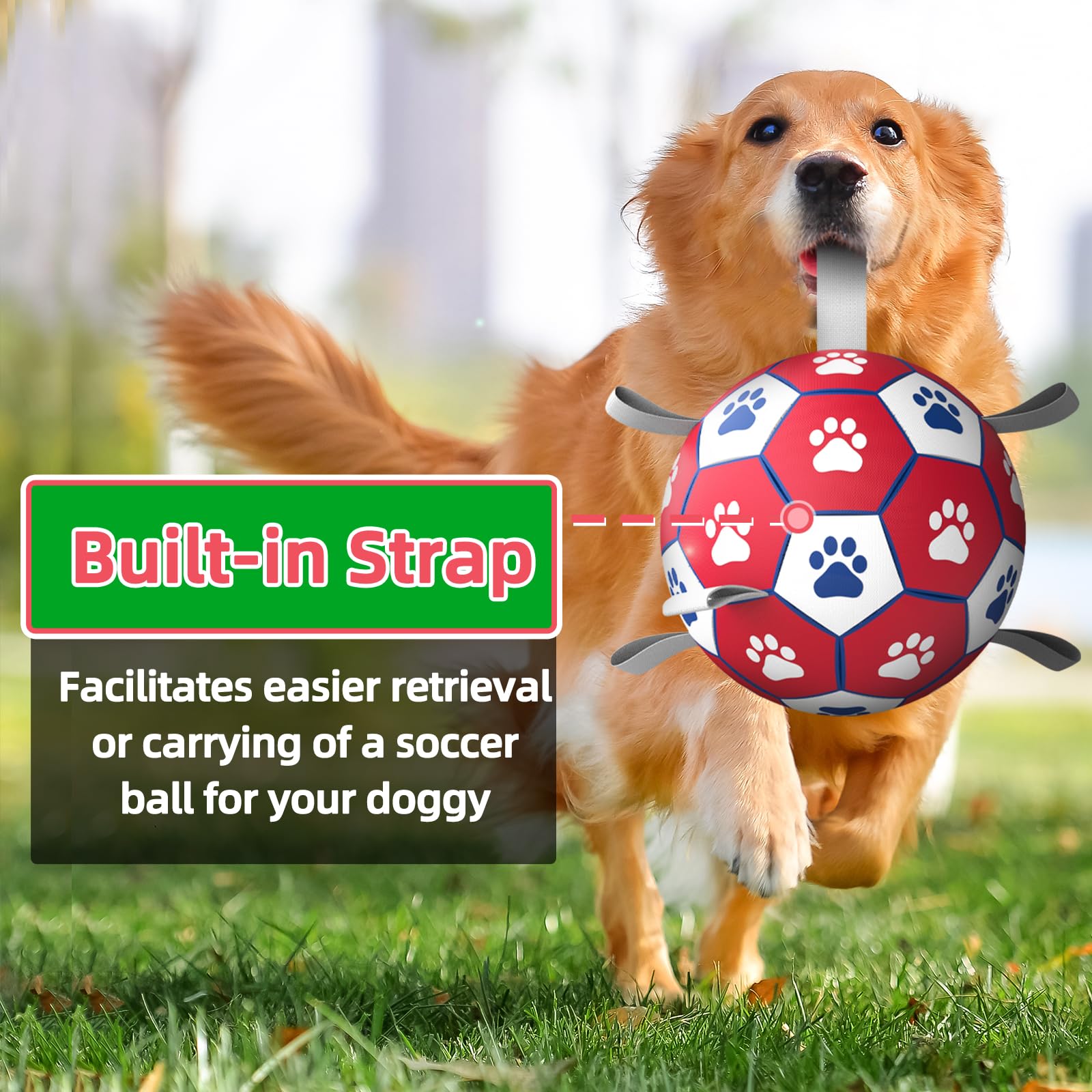 Diman dog soccer ball buoyant in water for pool and beach play.
