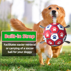 Diman dog soccer ball buoyant in water for pool and beach play.