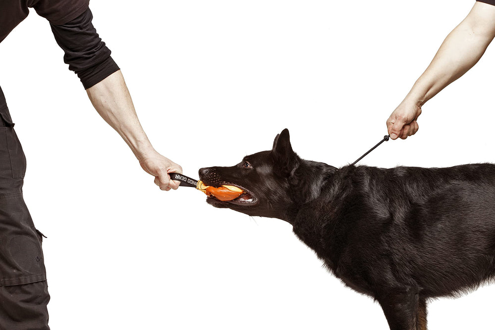 Dingo Gear tested by K9 professionals for reliability.