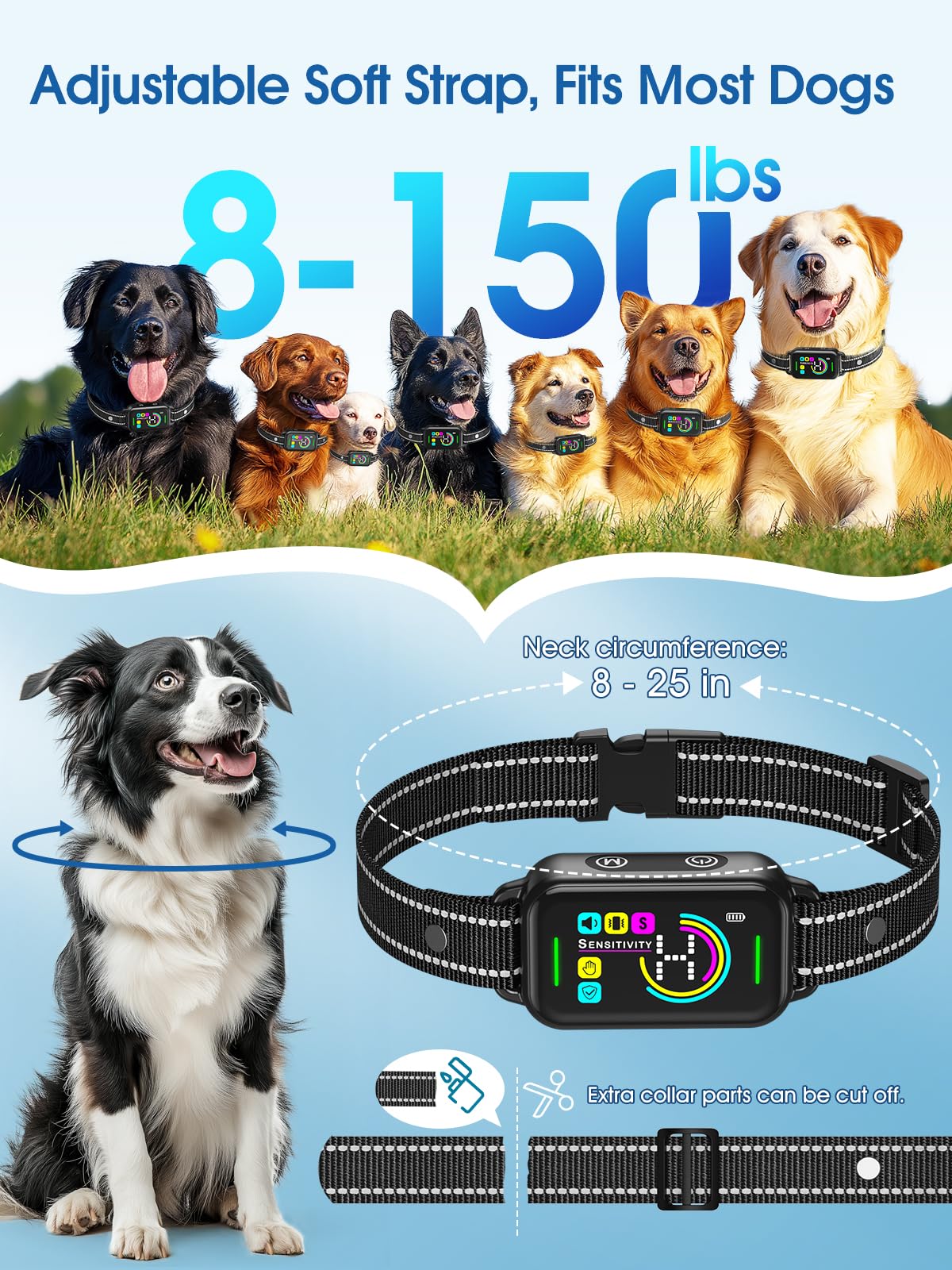 DINJOO bark collar worn by dog during daily activities.