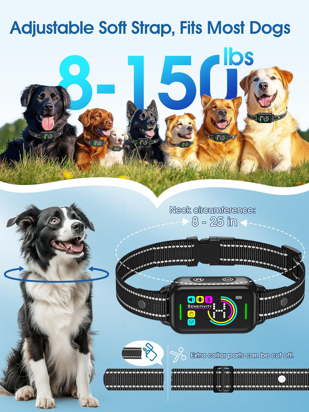 DINJOO bark collar worn by dog during daily activities.