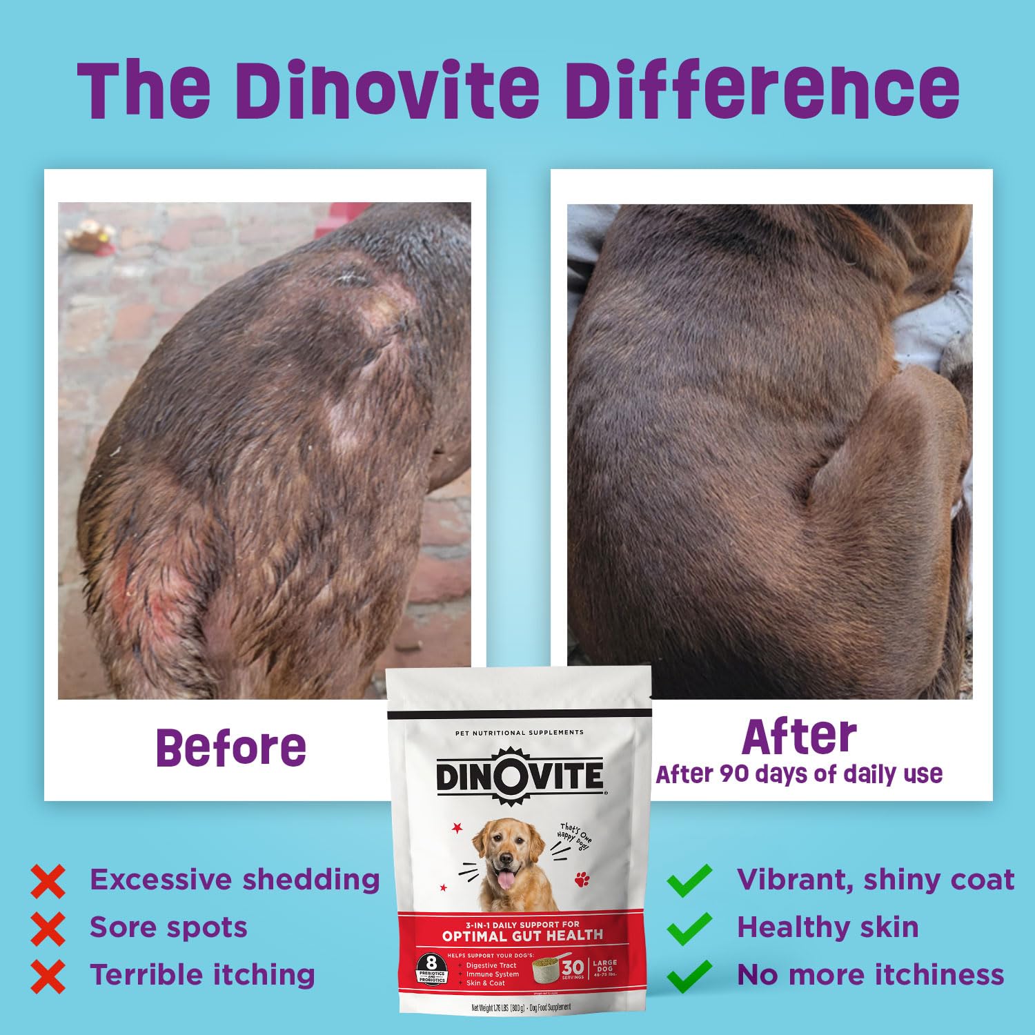 Dinovite 3 in 1 serving scoop demonstrates simple dosing for coat and skin care.
