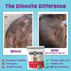 Dinovite 3 in 1 probiotic serving on food demonstrates daily topping use