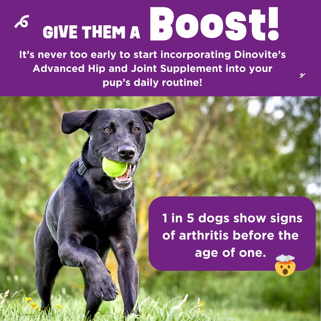 Dinovite BeneBoost bacon flavor label highlights appealing taste for easier supplement acceptance.