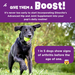 Dinovite BeneBoost bacon flavor label highlights appealing taste for easier supplement acceptance.