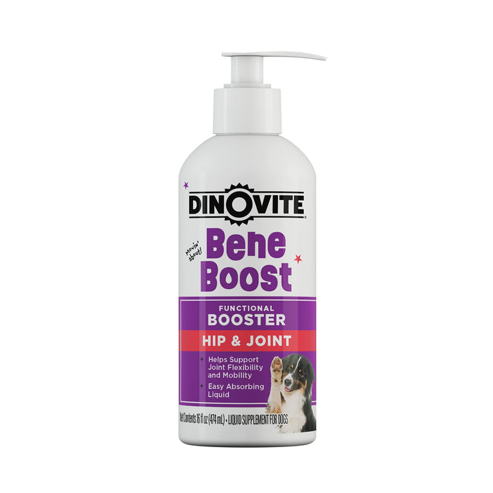 Dinovite BeneBoost bottle display showing a convenient joint support option for dogs.