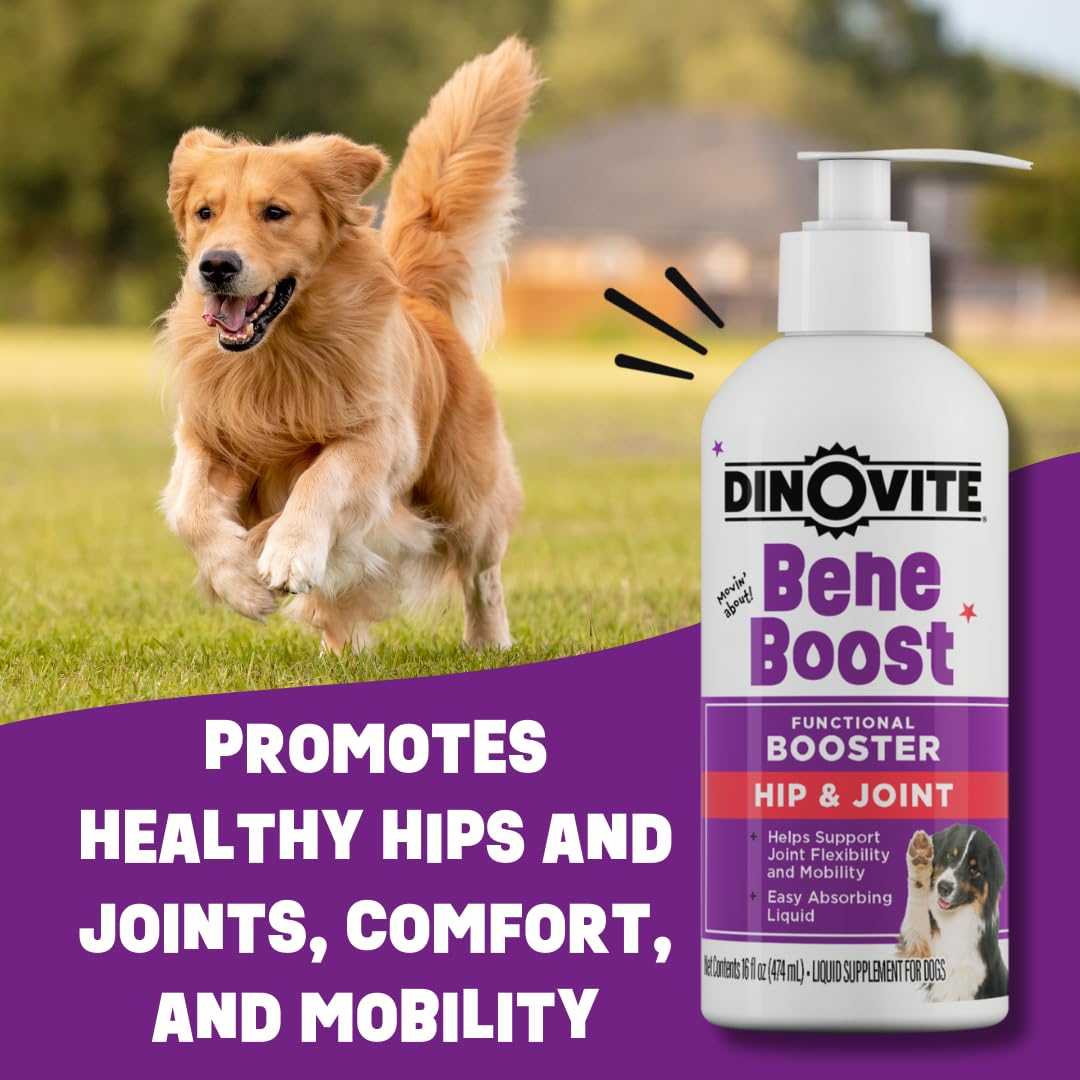 Dinovite BeneBoost cartilage support graphic communicates targeted hip and joint nourishment.