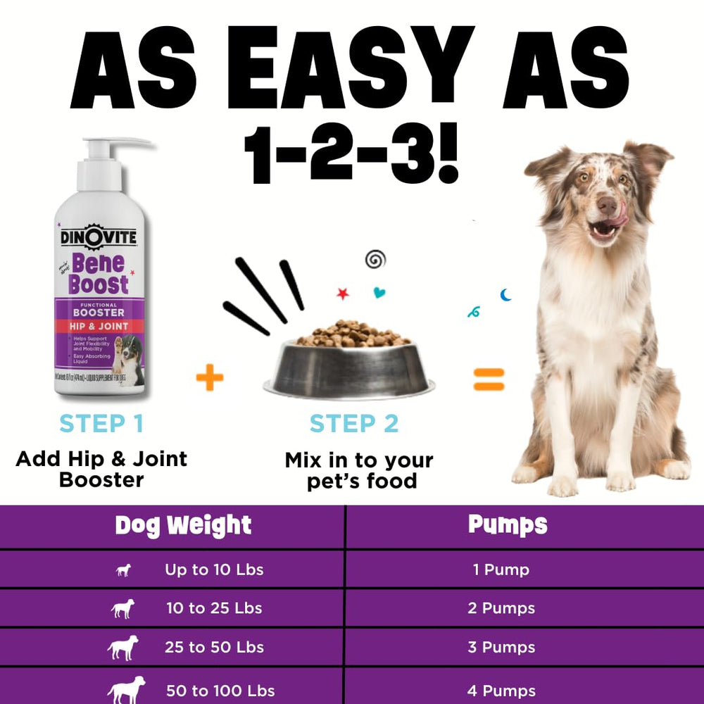 Dinovite BeneBoost dog running mobility image suggests enhanced activity and comfort for active pets.