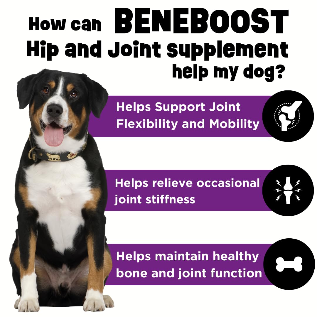 Dinovite BeneBoost liquid topper pour demonstrates easy serving over meals for daily joint support.