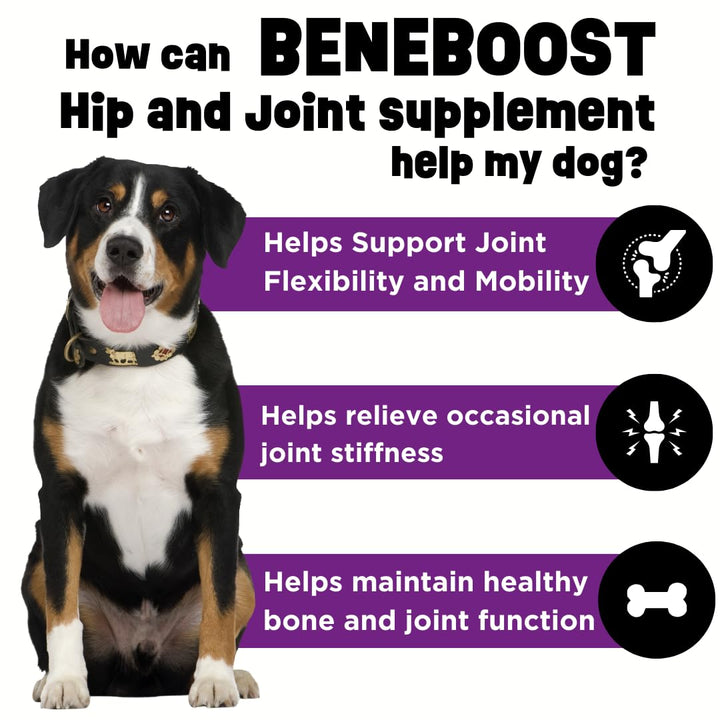 Dinovite BeneBoost liquid topper pour demonstrates easy serving over meals for daily joint support.