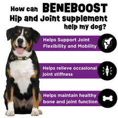 Dinovite BeneBoost liquid topper pour demonstrates easy serving over meals for daily joint support.