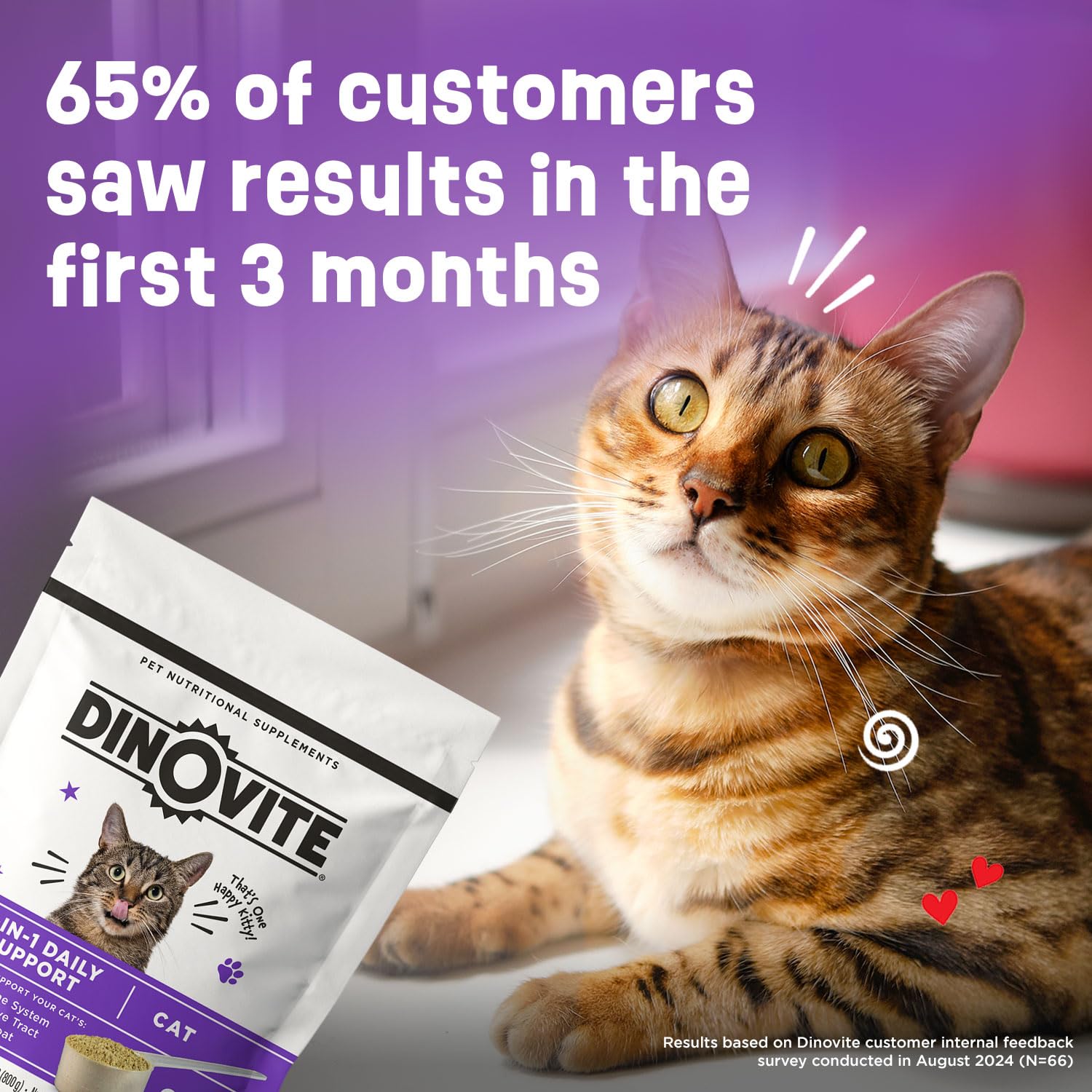 Seasonal transition scene with cat; Dinovite may aid skin comfort.