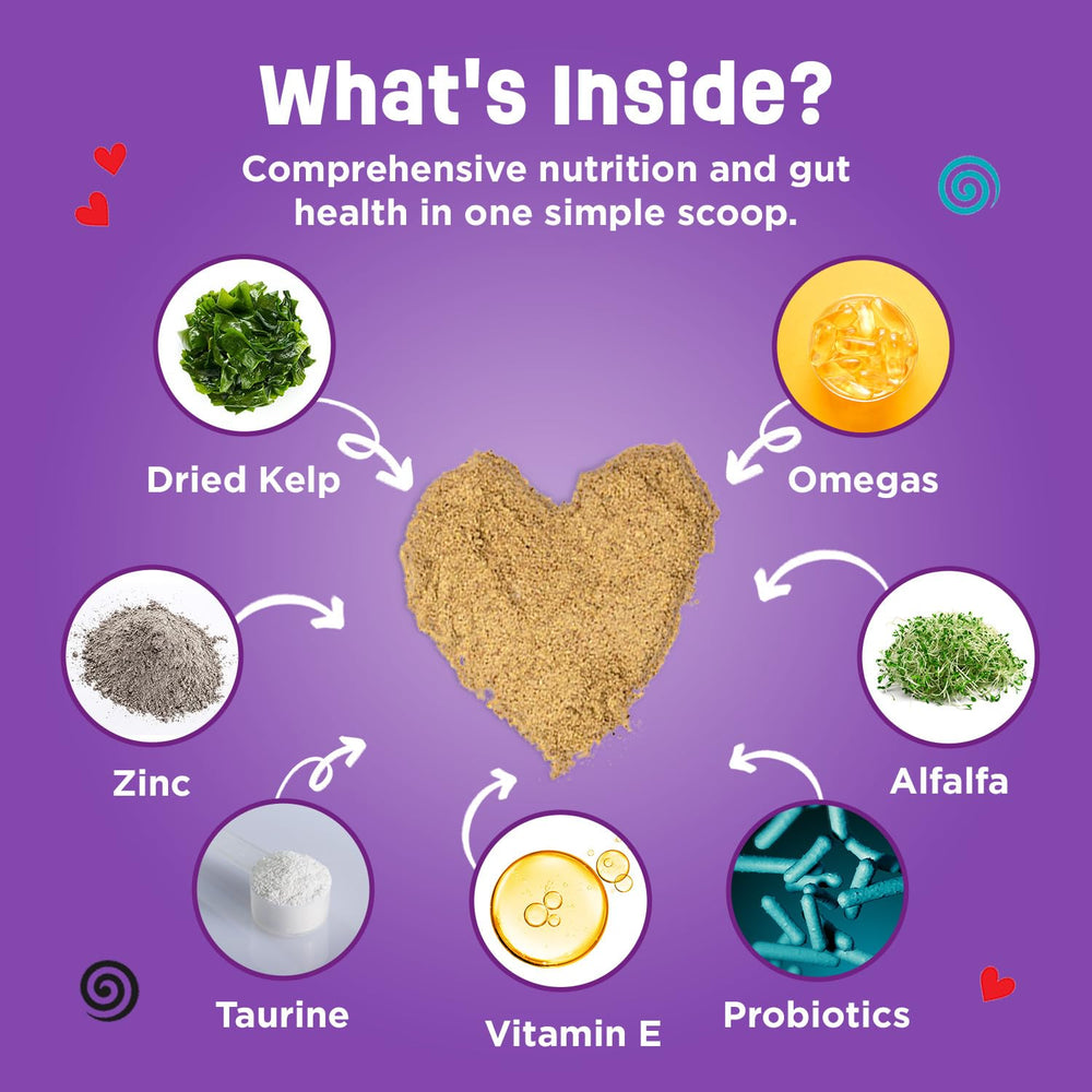 Dinovite label highlights vitamins, prebiotics, probiotics for gut health.