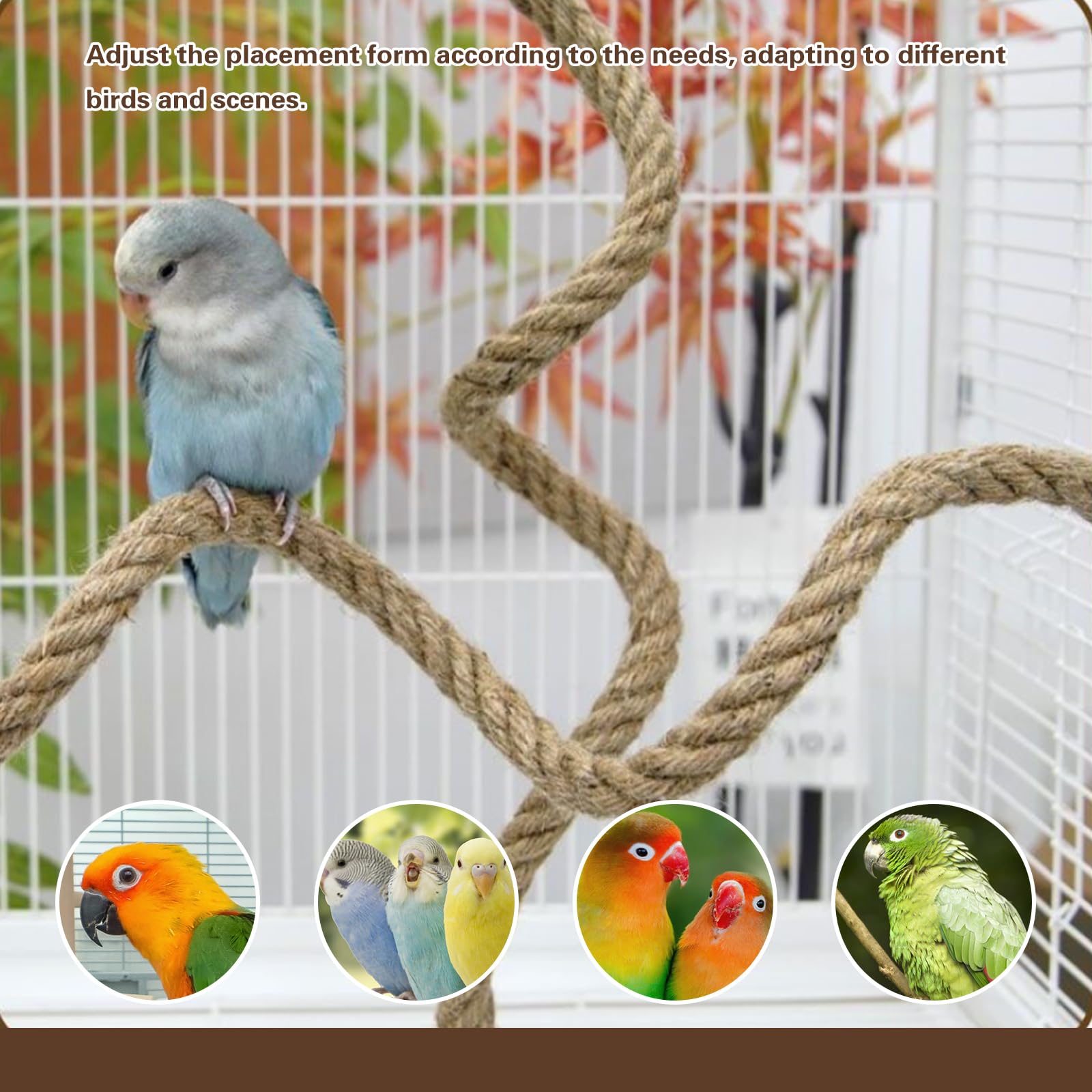 DINTSTYLE bird rope perch 41 inch provides extended perching space