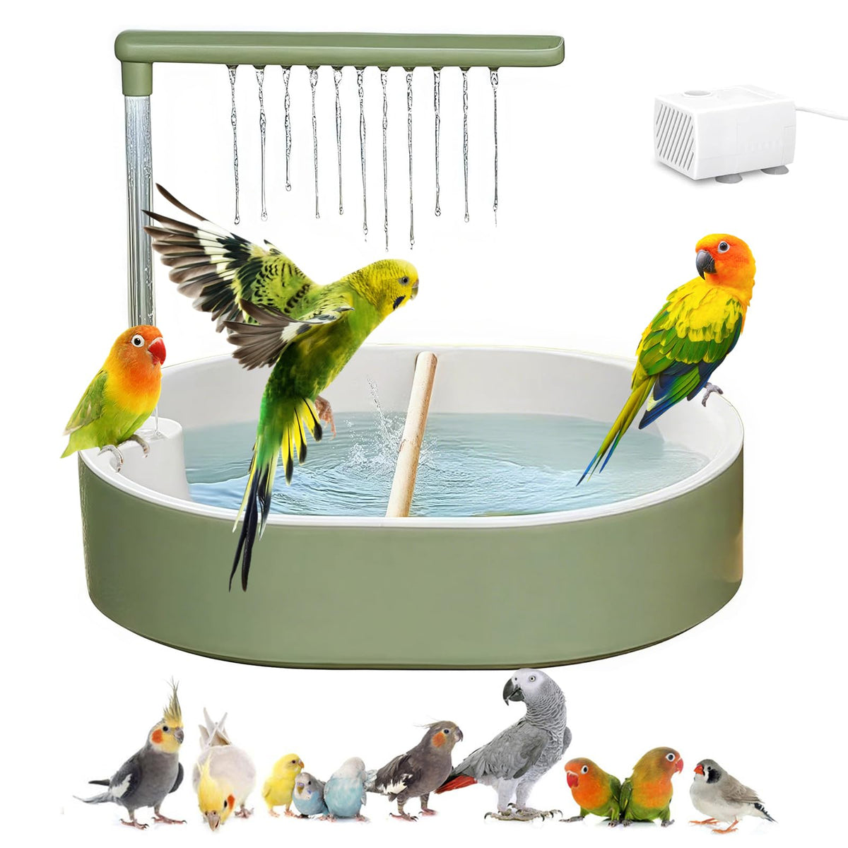 DINTSTYLE parrot bath tub with wide basin offers spacious bathing for several birds.