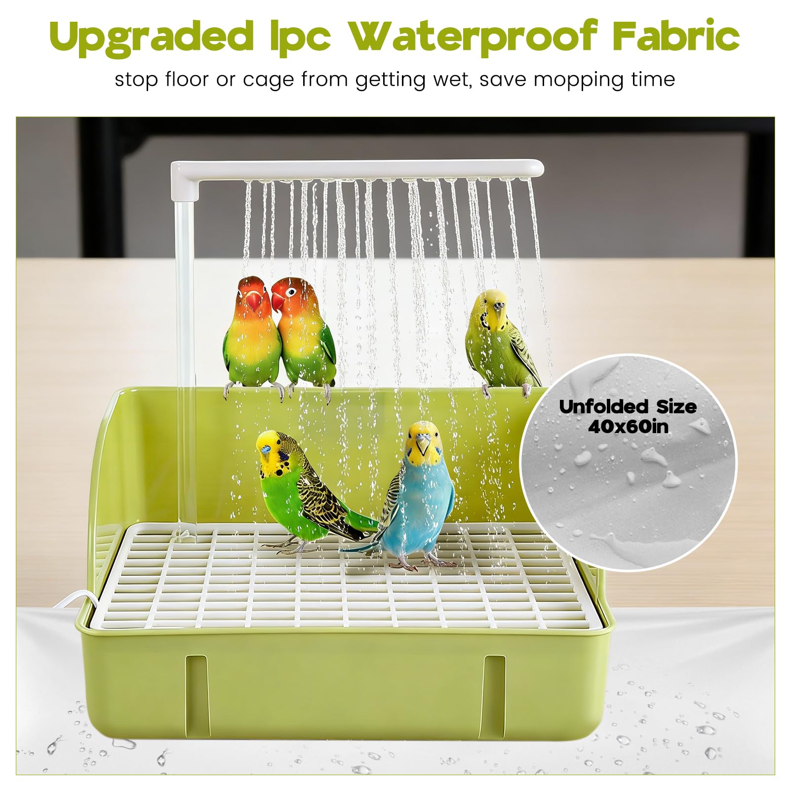 DINTSTYLE social-bathing-session supports shared birds' bathing experiences