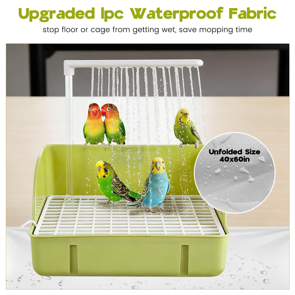 DINTSTYLE social-bathing-session supports shared birds' bathing experiences