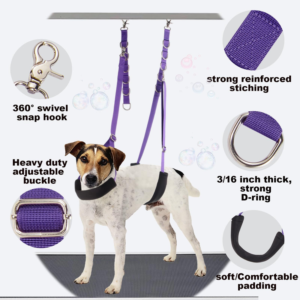 DISCPETSEC grooming loop extension with six D-rings for versatile setups