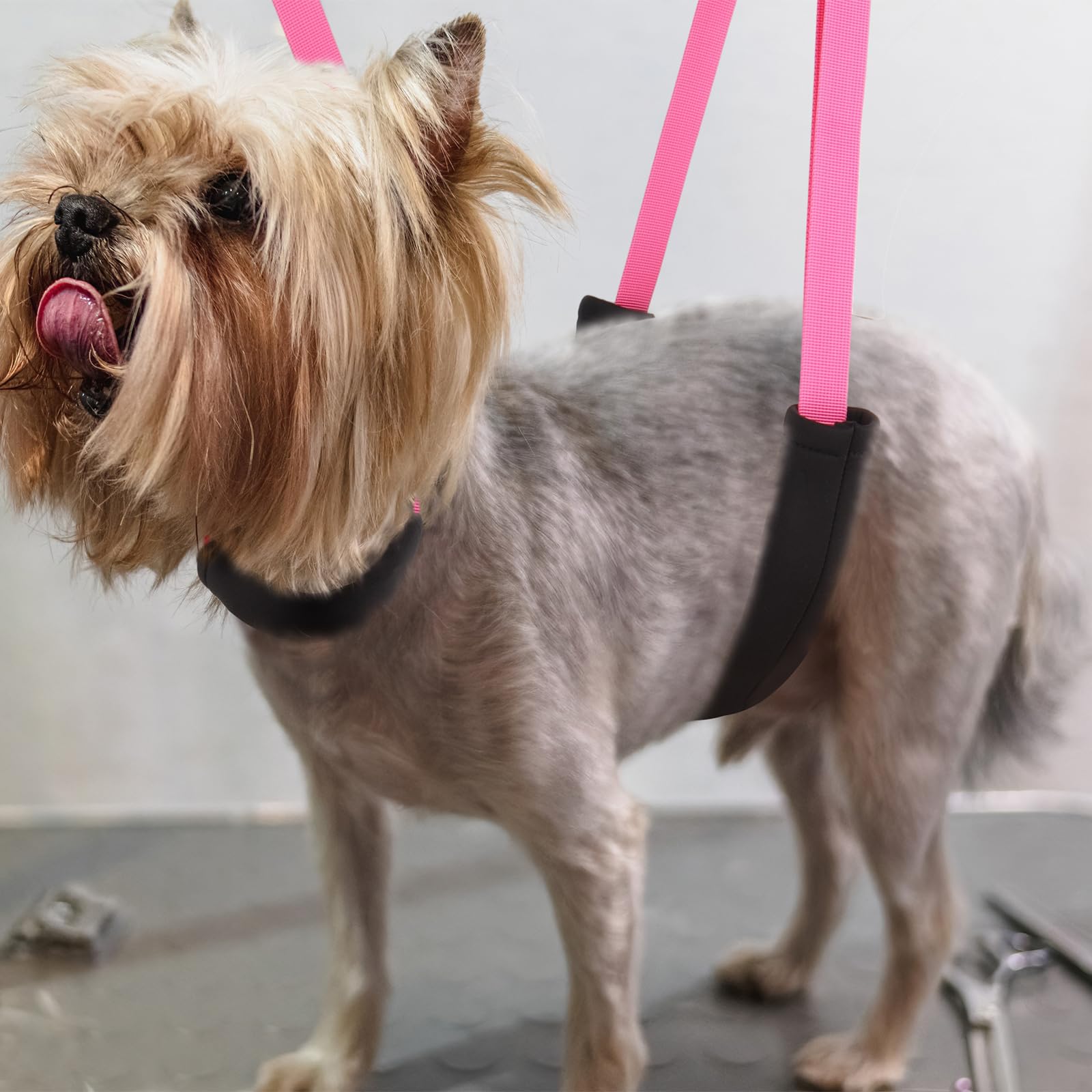 DISCPETSEC adjustable design adapts to table height for comfortable grooming