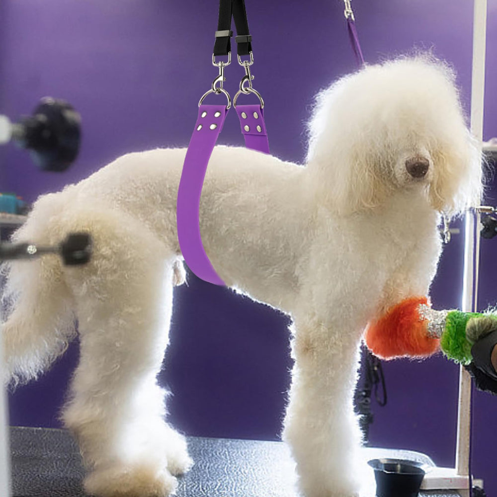 DISCPETSEC home and salon tool for calm, controlled grooming