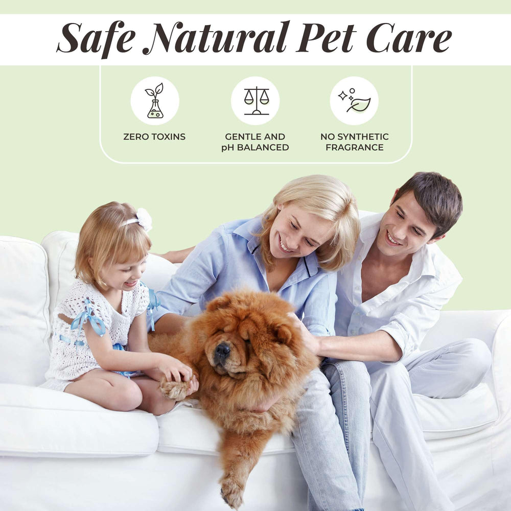 Divine Canine spray after rain to keep dog smelling fresh.